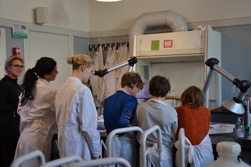 5.klasse-eleverne bliver undervist af skolens elever
